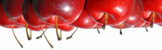 a picture called molady.jpg (click to enlarge)